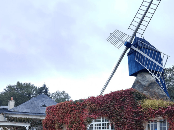 le-moulin-bleu.png